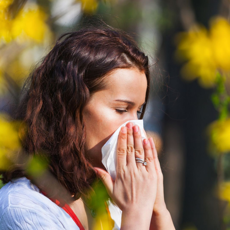 Pollenallergie Gross